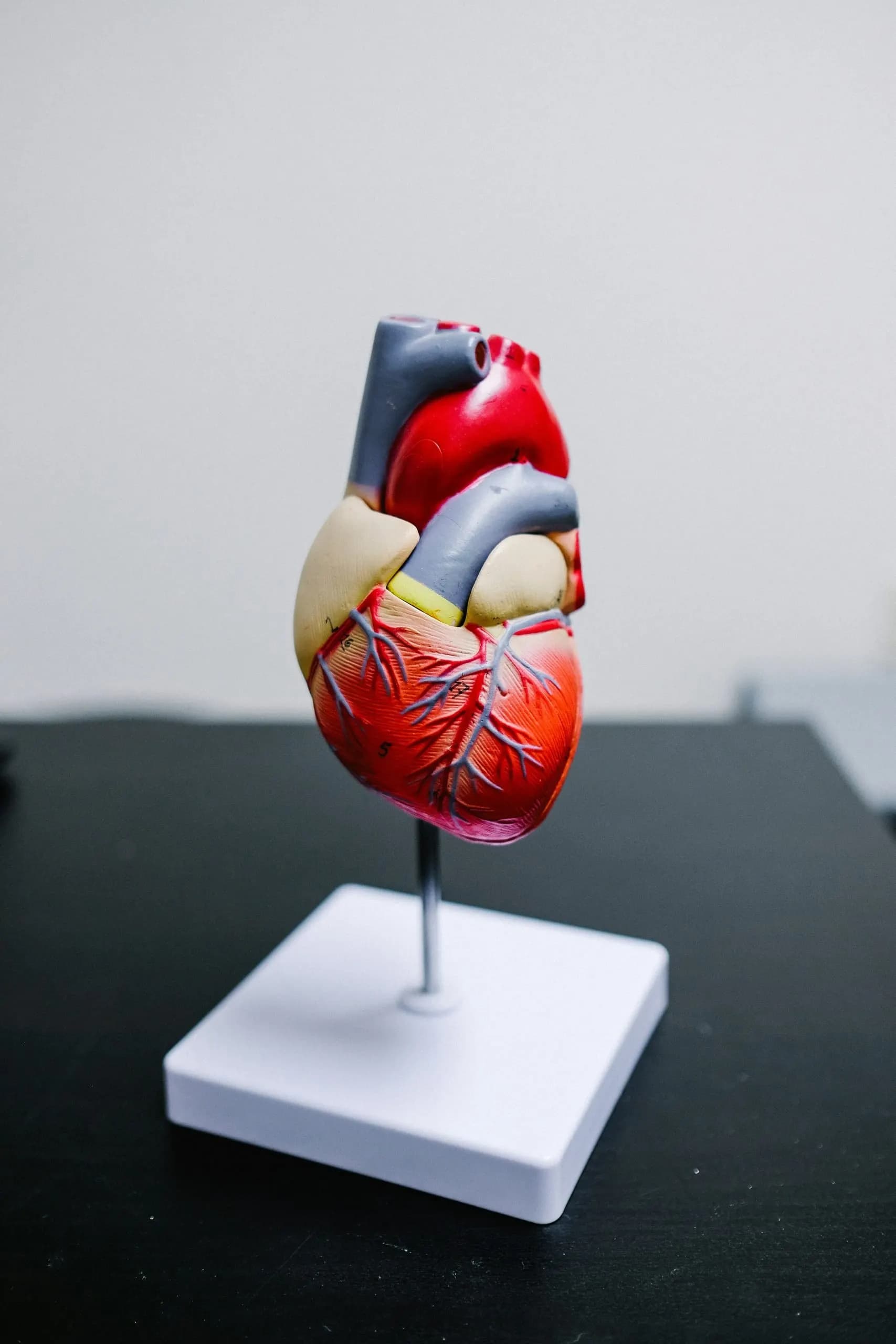 Why choose body donation as a final disposition