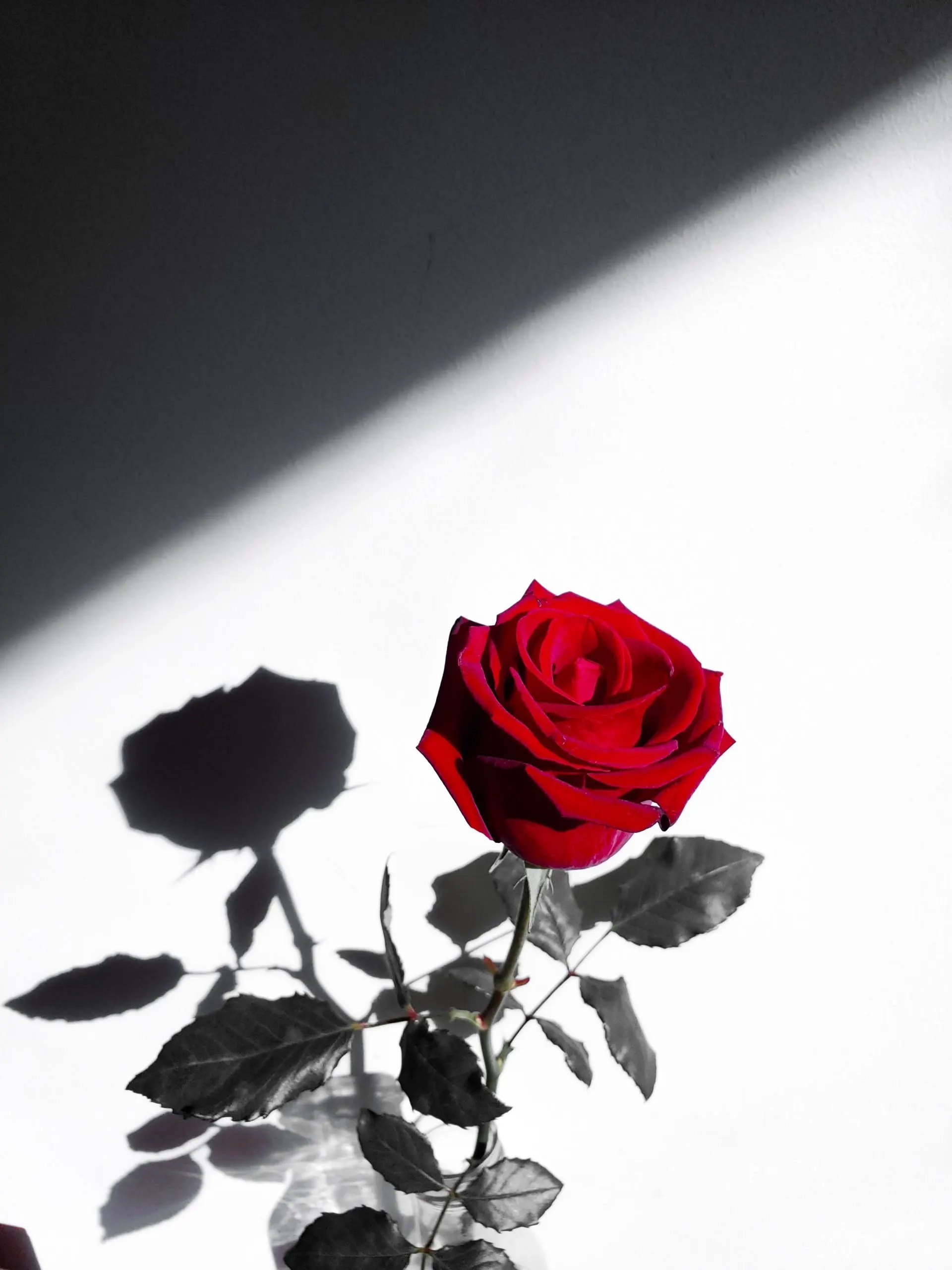 Funeral homes in Amarillo, TX guide