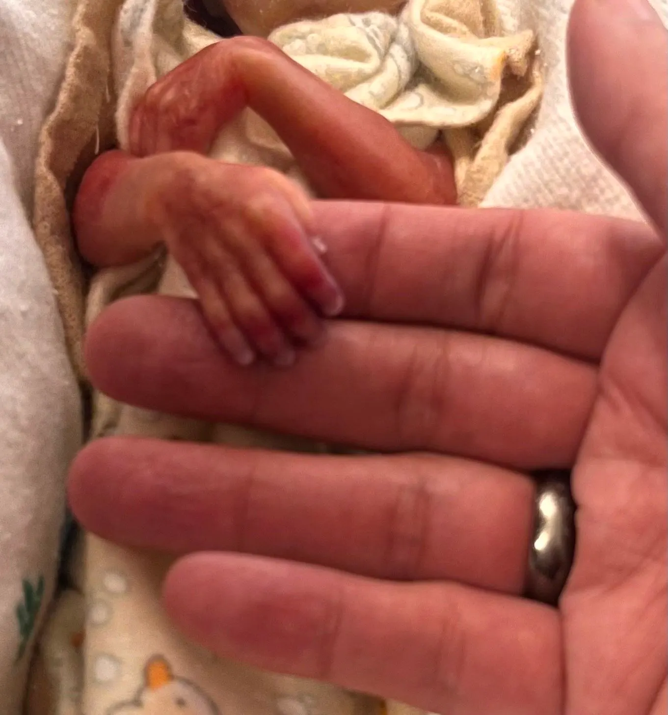 Adam Daniel Hernandez